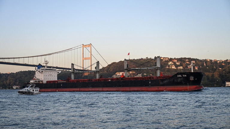 Một con t&agrave;u ngũ cốc đi qua eo biển Bosporus gần Istanbul, Thổ Nhĩ Kỳ, th&aacute;ng 11/2022. Ảnh: AFP