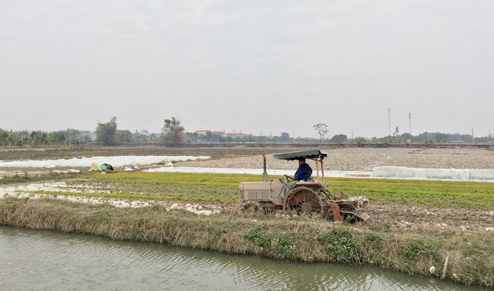 Làm đất, đổ ải, gieo cấy lúa vụ Xuân 2023 tại huyện Sóc Sơn. Ảnh: Lâm Nguyễn