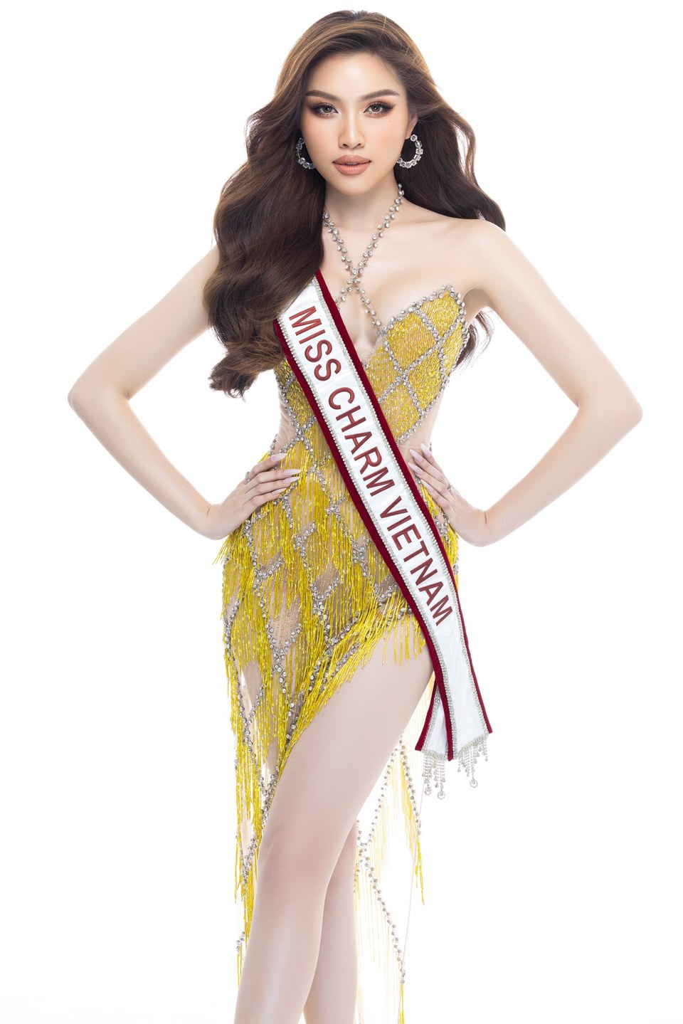 MC Thanh Thanh Huyền đại diện Việt Nam tham dự Miss Charm 2023. (Ảnh: FBNV)