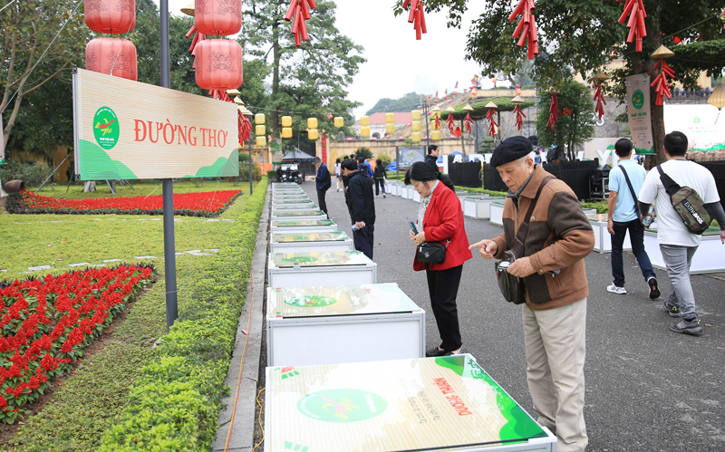 Độc giả đọc thơ tại Đường thơ ở Hoàng thành Thăng Long. Ảnh: Nguyễn Quang