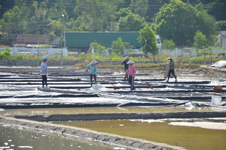 Sản xuất muối l&agrave; nghề truyền thống của cư d&acirc;n Sa Huỳnh.