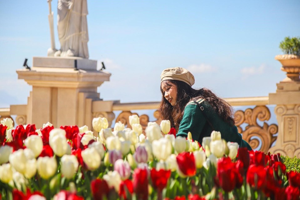 Tulip nở rộ tại khu vực quảng trường Nhật thực
