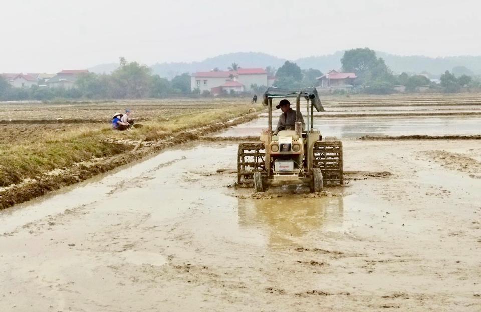 Bà con cái dân cày thực hiện khu đất, gieo ghép vụ Xuân 2023 bên trên thị xã Sóc Sơn. Ảnh: Tùng Nguyễn