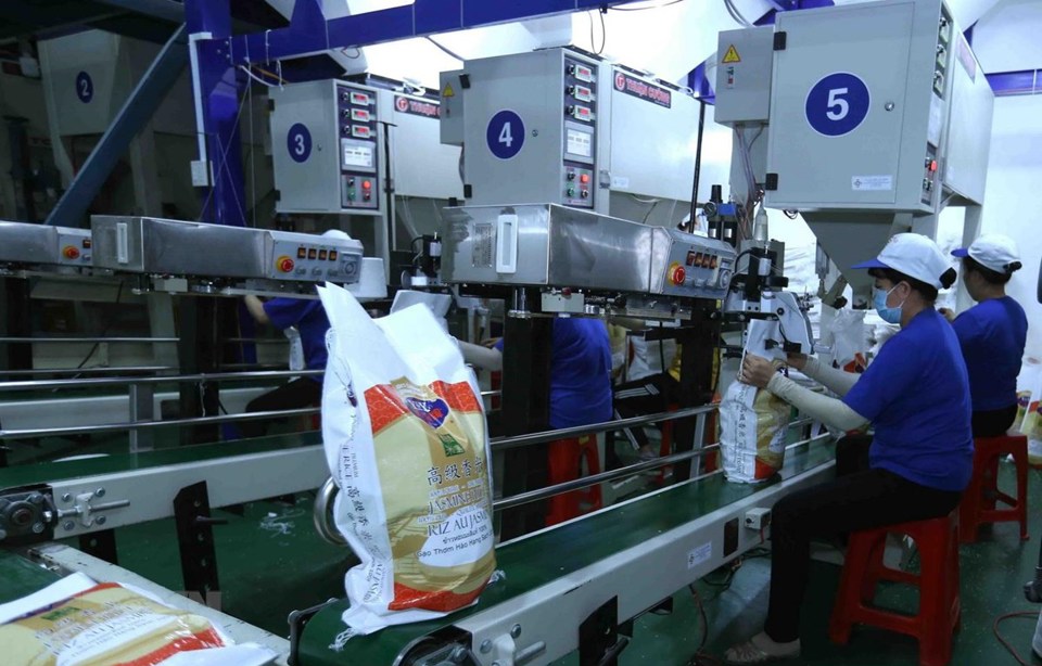 Đóng gói sản phẩm gạo xuất khẩu tại nhà máy của Công ty CP Nông nghiệp công nghệ cao Trung An, quận Thốt Nốt, TP Cần Thơ. Ảnh: Vũ Sinh