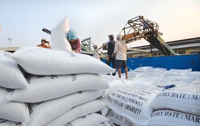 Hoạt động xuất khẩu gạo của doanh nghiệp Việt Nam. Ảnh minh họa