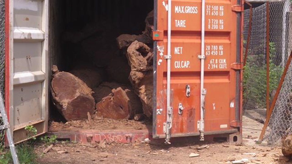 Container gỗ sưa để trong s&acirc;n nh&agrave; văn h&oacute;a th&ocirc;n Phụ Ch&iacute;nh được c&aacute;c cụ thay phi&ecirc;n nhau tr&ocirc;ng giữ từ năm 2019