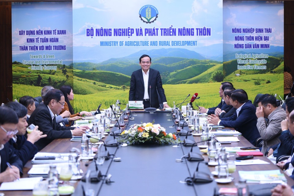 Ph&oacute; Thủ tướng Ch&iacute;nh phủ Trần Lưu Quang ph&aacute;t biểu tại cuộc l&agrave;m việc.