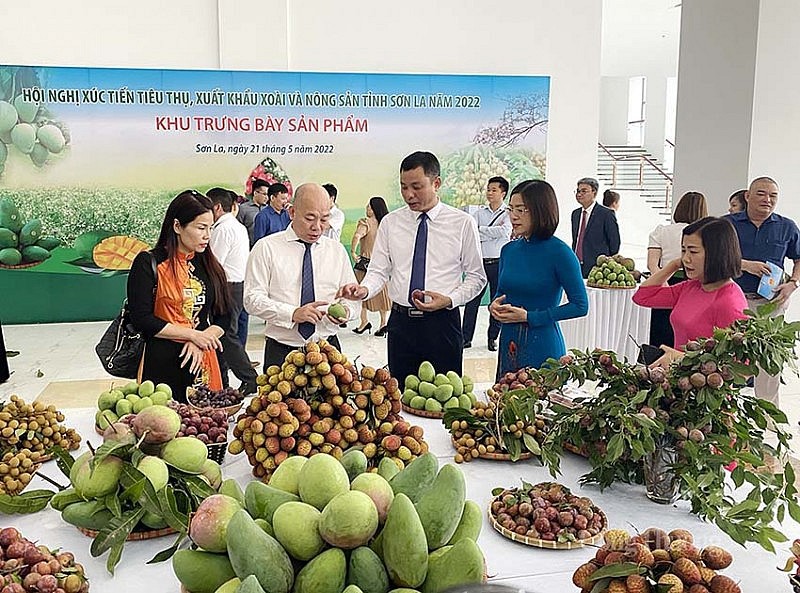 X&uacute;c tiến thương mại, đẩy mạnh xuất khẩu l&agrave; nhiệm vụ trọng t&acirc;m của ng&agrave;nh c&ocirc;ng thương. Ảnh minh họa