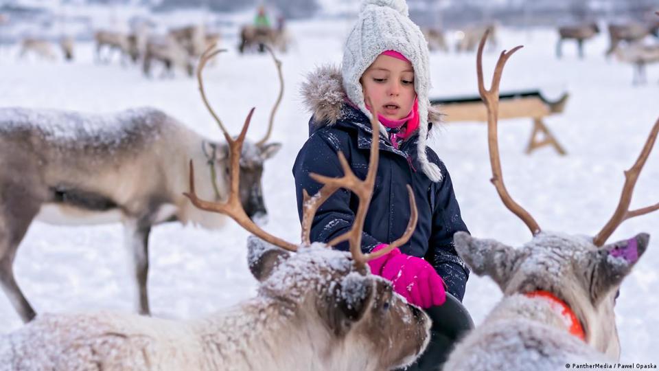 Các cộng đồng bản địa như người Sami bị ảnh hưởng nặng nề bởi những mất mát do thế giới nóng lên, cảnh chăn tuần lộc sẽ không còn. Ảnh: DW