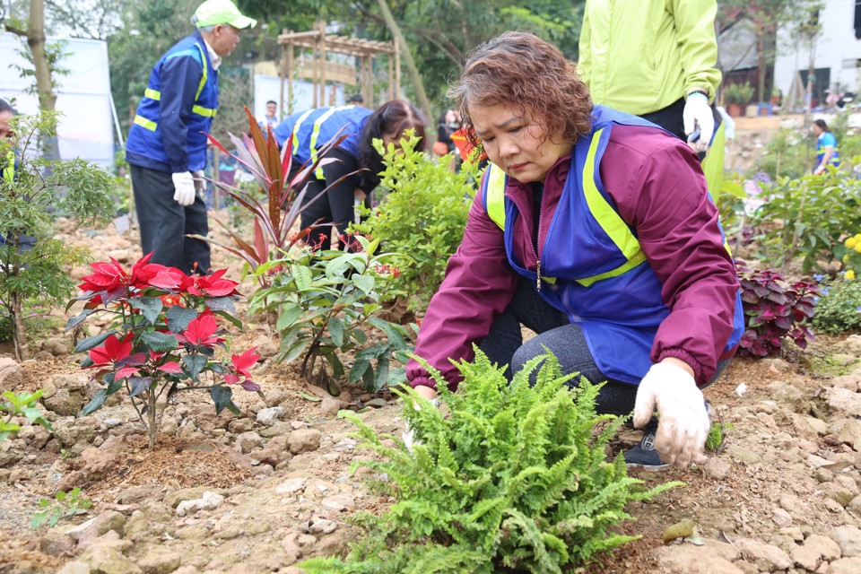 Quận Hoàn Kiếm: Phát động Tết trồng cây và ra quân đội hình 3+ - Ảnh 3