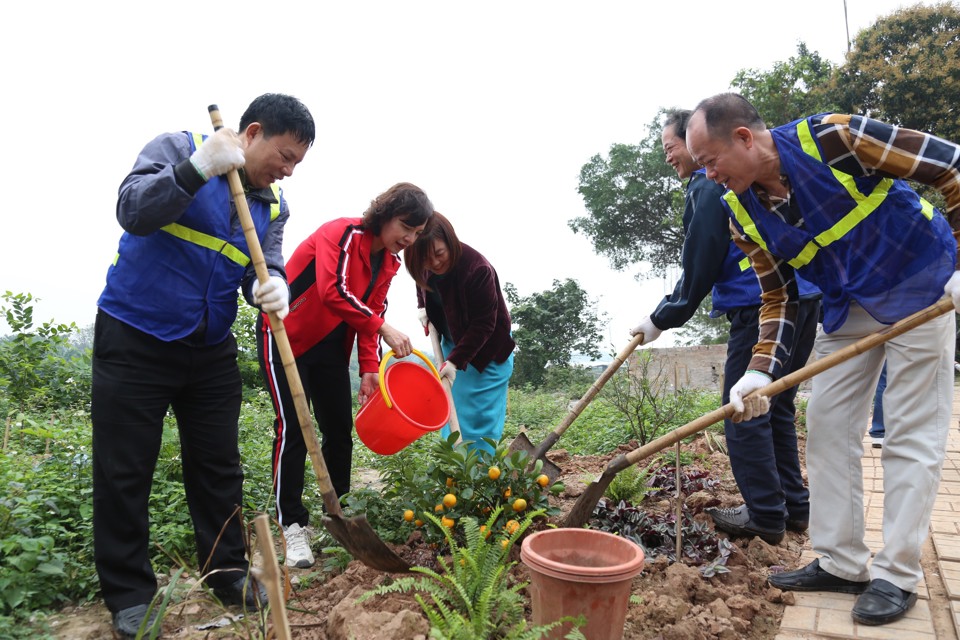 Quận Hoàn Kiếm: Phát động Tết trồng cây và ra quân đội hình 3+ - Ảnh 4