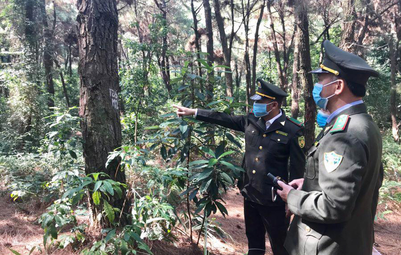Lực lượng kiểm lâm huyện Sóc Sơn tuần tra, lên phương án phòng, chống cháy rừng. Ảnh:Ngọc Ánh