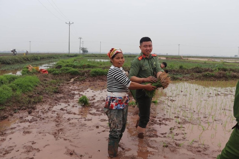 Chiến sĩ C&ocirc;ng an huyện Ph&uacute; Xuy&ecirc;n cấy l&uacute;a gi&uacute;p d&acirc;n