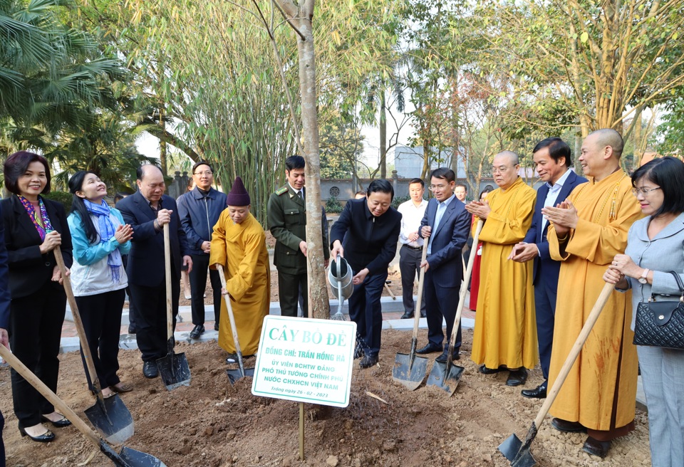 Lan tỏa hành trình trồng cây hướng đến Net Zero từ Hà Nội - Ảnh 1