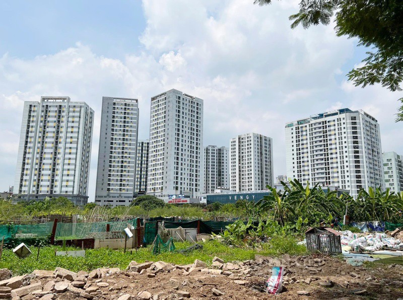 Một ô đất quy hoạch xây trường trên phường Hoàng Liệt nhưng không được triển khai. Ảnh: Đăng Chung