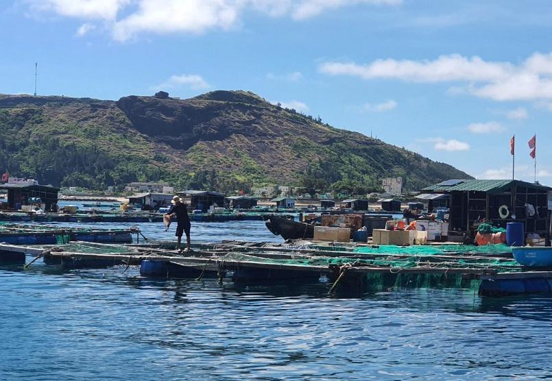 Nu&ocirc;i c&aacute; lồng b&egrave; tr&ecirc;n biển ở L&yacute; Sơn.