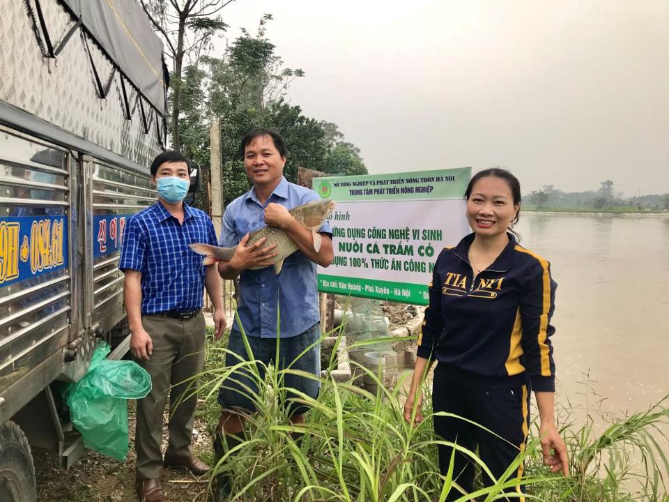 Hiệu quả từ việc đầu tư chăn nuôi thủy sản trên địa bàn huyện Phú Xuyên