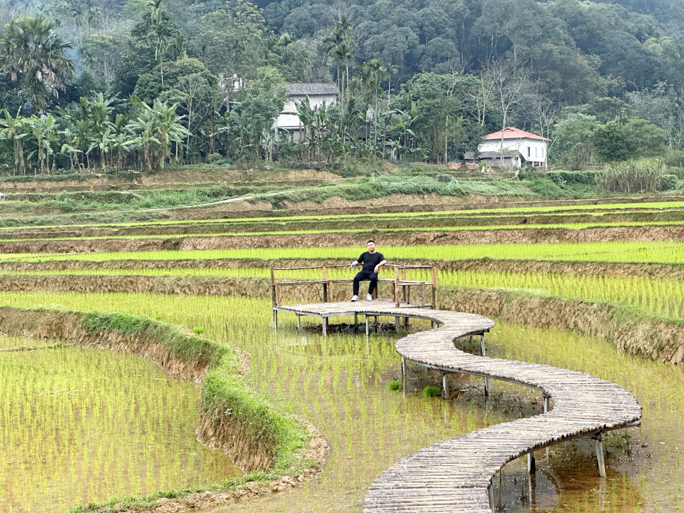 Những ruộng l&uacute;a bậc thang tuyệt đẹp tại x&atilde; Nh&acirc;n Mỹ, huyện T&acirc;n Lạc, tỉnh H&ograve;a B&igrave;nh.