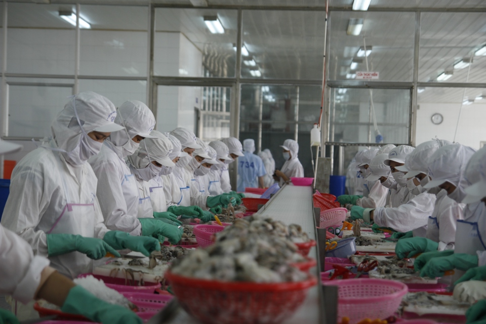 Chế biến thủy sản xuất khẩu tại tỉnh Bà Rịa - Vũng Tàu. Ảnh: Phạm Hùng