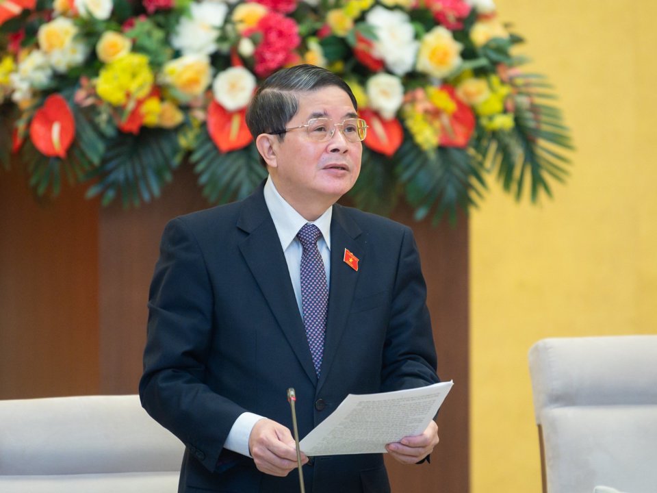 Ph&oacute; Chủ tịch Quốc hội Nguyễn Đức Hải ph&aacute;t biểu
