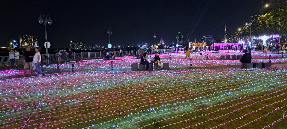 Khu vườn hoa Sakura của Nhật Bản.