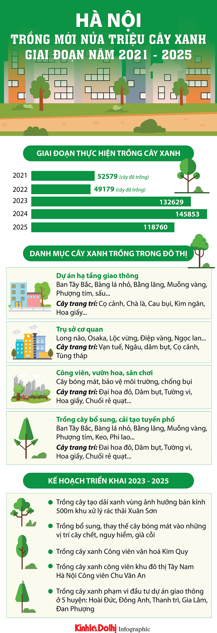 Hà Nội lên kế hoạch trồng mới nửa triệu cây giai đoạn năm 2021-2025 - Ảnh 1
