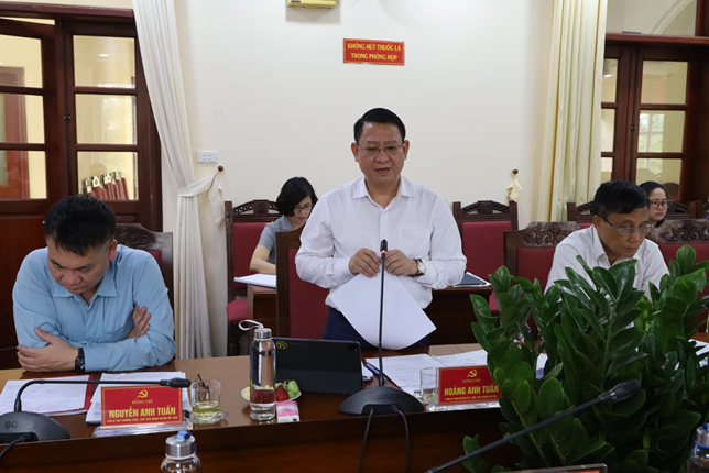 Chủ tịch UBND huyện M&ecirc; Linh Ho&agrave;ng Anh Tuấn b&aacute;o c&aacute;o tại buổi l&agrave;m việc.