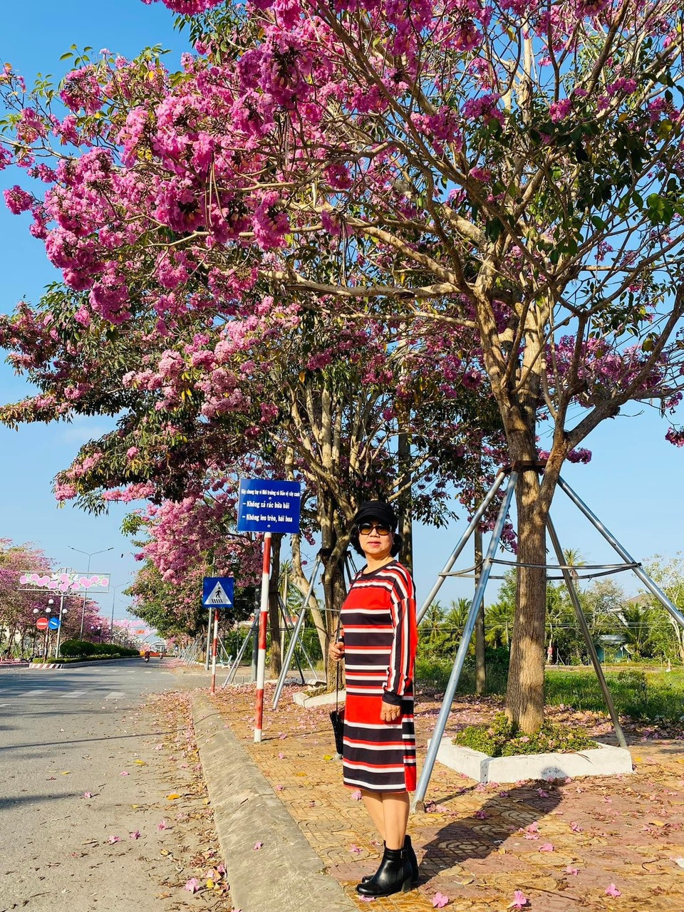 Với khung cảnh l&atilde;ng mạn v&agrave; n&ecirc;n thơ, con đường n&agrave;y đ&atilde; trở th&agrave;nh địa điểm thu h&uacute;t nhiều du kh&aacute;ch tới check-in, chụp ảnh, mỗi khi m&ugrave;a hoa nở rộ. Ảnh FB Tu Thi Muoi