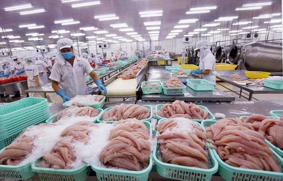 Mặt h&agrave;ng thủy sản Việt Nam chịu sự cạnh tranh lớn từ c&aacute;c thị trường&nbsp;Ecuador, Indonesia, Ấn Độ. Ảnh minh họa&nbsp;