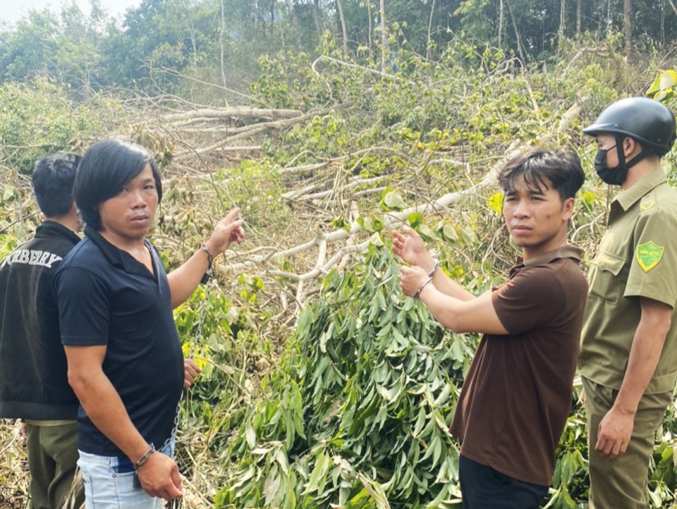 Cơ quan chức năng dựng lại hiện trường vụ ph&aacute; rừng tại x&atilde; Ph&uacute;c Thọ, huyện L&acirc;m H&agrave;, tỉnh L&acirc;m Đồng.