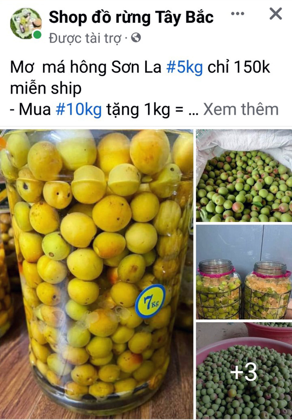 Lời ch&agrave;o mời mua mơ tr&ecirc;n mạng x&atilde; hội facebook. Ảnh: Ho&agrave;i Nam