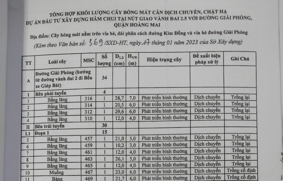 Hồ sơ c&acirc;y xanh di chuyển, chặt hạ của dự &aacute;n. Ảnh: TA