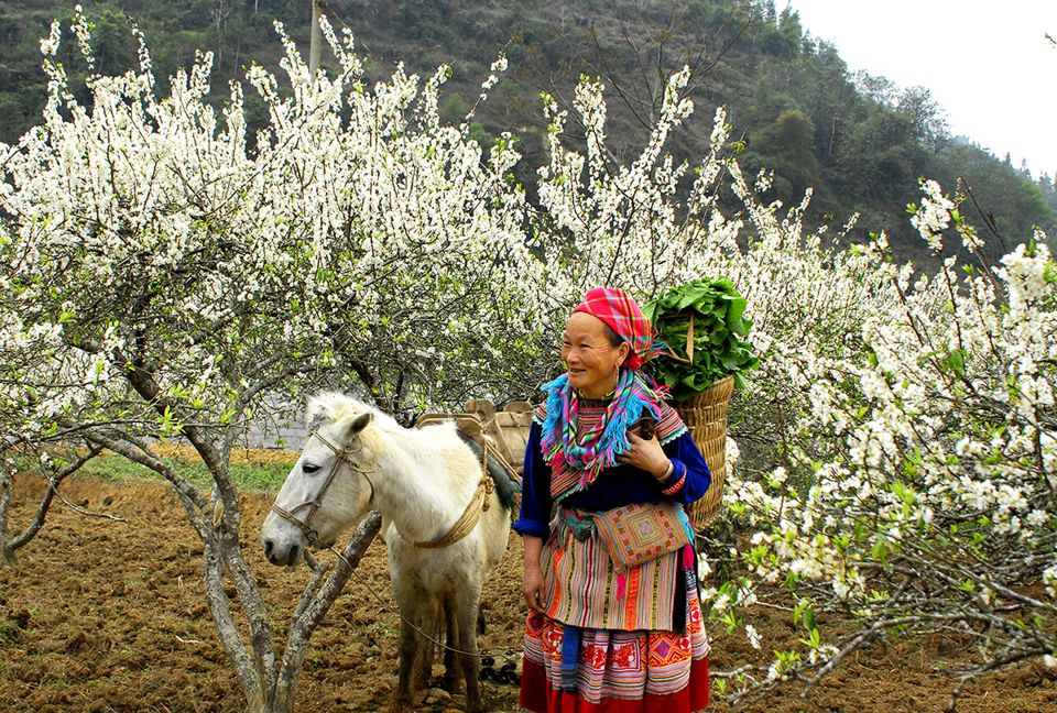 Phiên chợ vùng cao - Ảnh 2