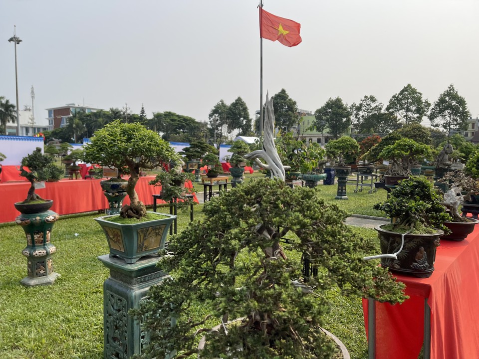 Triển l&atilde;m, hội thi, hội chợ Sinh vật cảnh tỉnh Quảng Ng&atilde;i mở rộng được tổ chức tại quảng trường TP Quảng Ng&atilde;i.