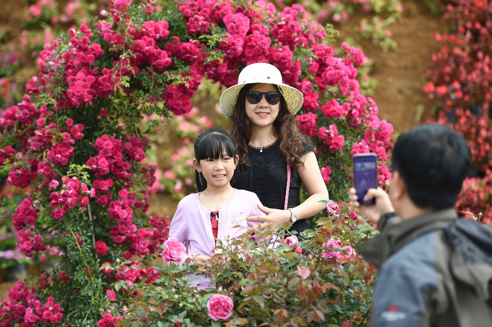 Mu&ocirc;n sắc hoa trong lễ hội hoa hồng Fansipan năm 2022