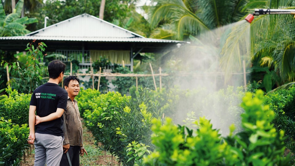 Hỗ trợ c&aacute;c hộ n&ocirc;ng d&acirc;n địa phương chuẩn h&oacute;a quy tr&igrave;nh canh t&aacute;c đạt VietGAP l&agrave; một mục ti&ecirc;u ch&iacute;nh của chương tr&igrave;nh "T&ocirc;n vinh n&ocirc;ng sản Việt".