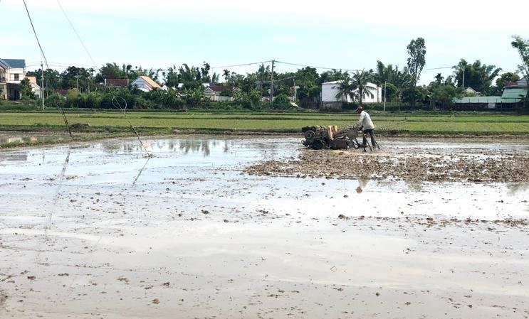 Dồn điền đổi thửa l&agrave;&nbsp;&ldquo;bước đệm&rdquo; để n&acirc;ng cao gi&aacute; trị gia tăng trong sản xuất n&ocirc;ng nghiệp.