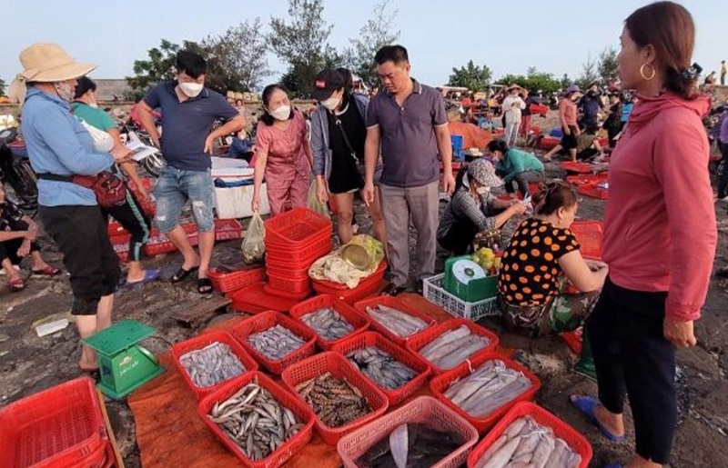 Vụ c&aacute; Nam ở H&agrave; Tĩnh l&agrave; thời điểm sản lượng khai th&aacute;c, đ&aacute;nh bắt tăng cao so với c&aacute;c m&ugrave;a trong năm