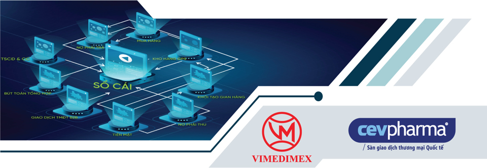  Vimedimex  Doanh nghiệp chuyển đổi số xuất sắc năm 2022 - Ảnh 5