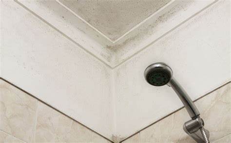 2 cách loại bỏ nấm mốc trên trần nhà tắm hiệu quả - Ảnh 1