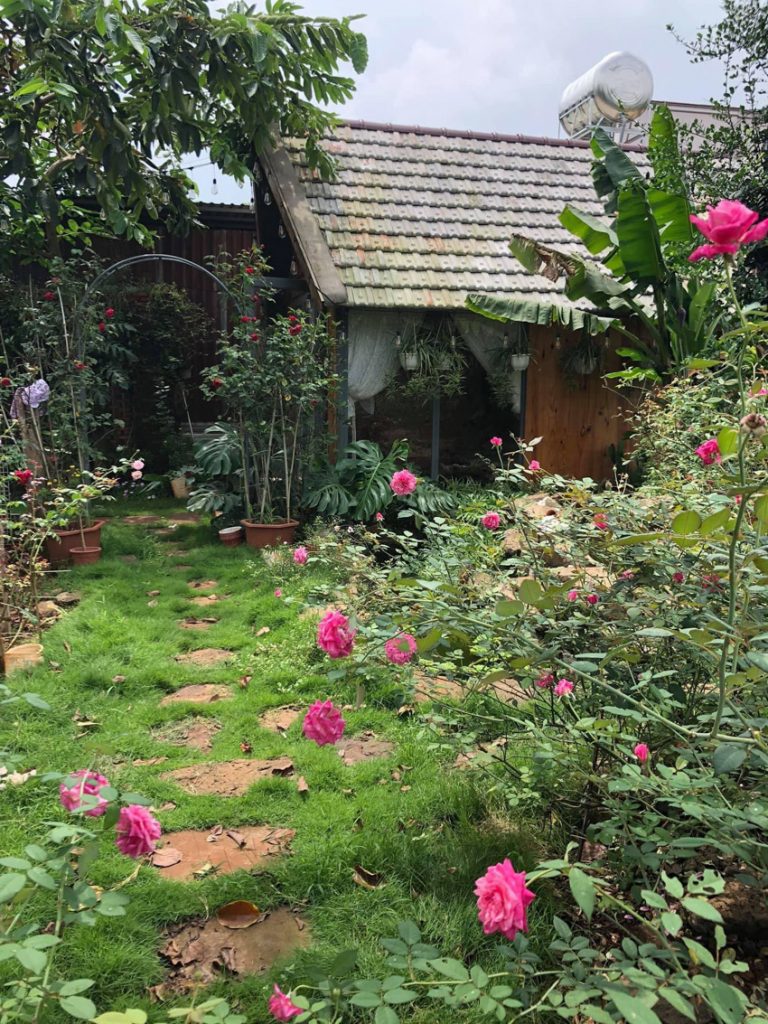 Ngôi nhà gỗ nhỏ xinh xắn nằm giữa vườn hoa hồng rực rỡ - Ảnh 2