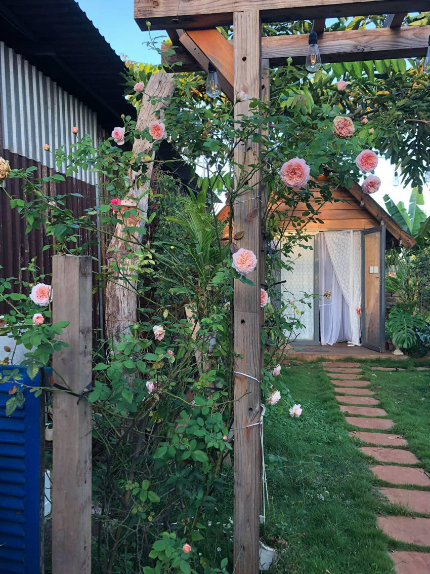 Ngôi nhà gỗ nhỏ xinh xắn nằm giữa vườn hoa hồng rực rỡ - Ảnh 1