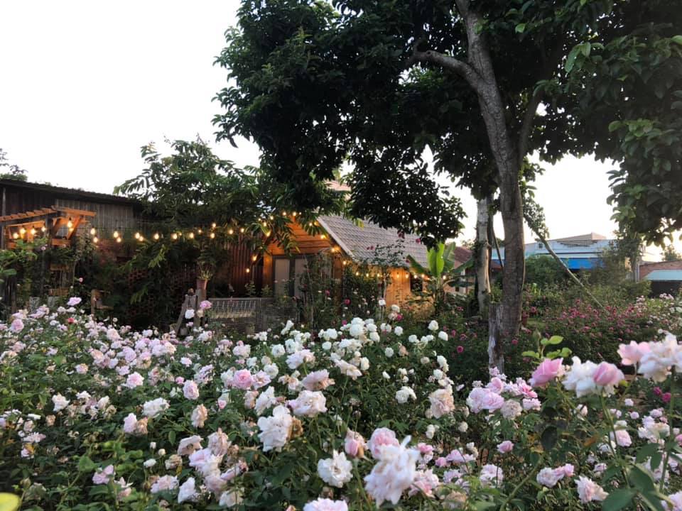 Ngôi nhà gỗ nhỏ xinh xắn nằm giữa vườn hoa hồng rực rỡ - Ảnh 9