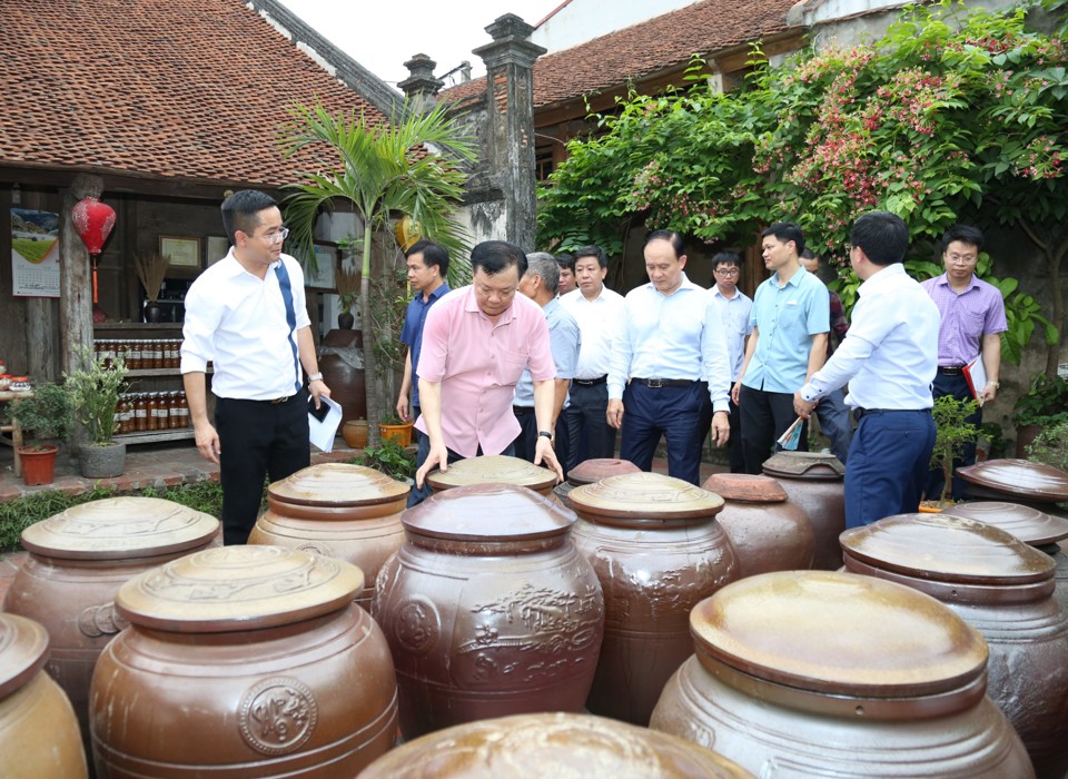 B&iacute; thư Th&agrave;nh ủy Đinh Tiến Dũng c&ugrave;ng c&aacute;c đồng ch&iacute; l&atilde;nh đạo th&agrave;nh phố khảo s&aacute;t c&ocirc;ng t&aacute;c quản l&yacute;, bảo tồn di t&iacute;ch tại Đường L&acirc;m.