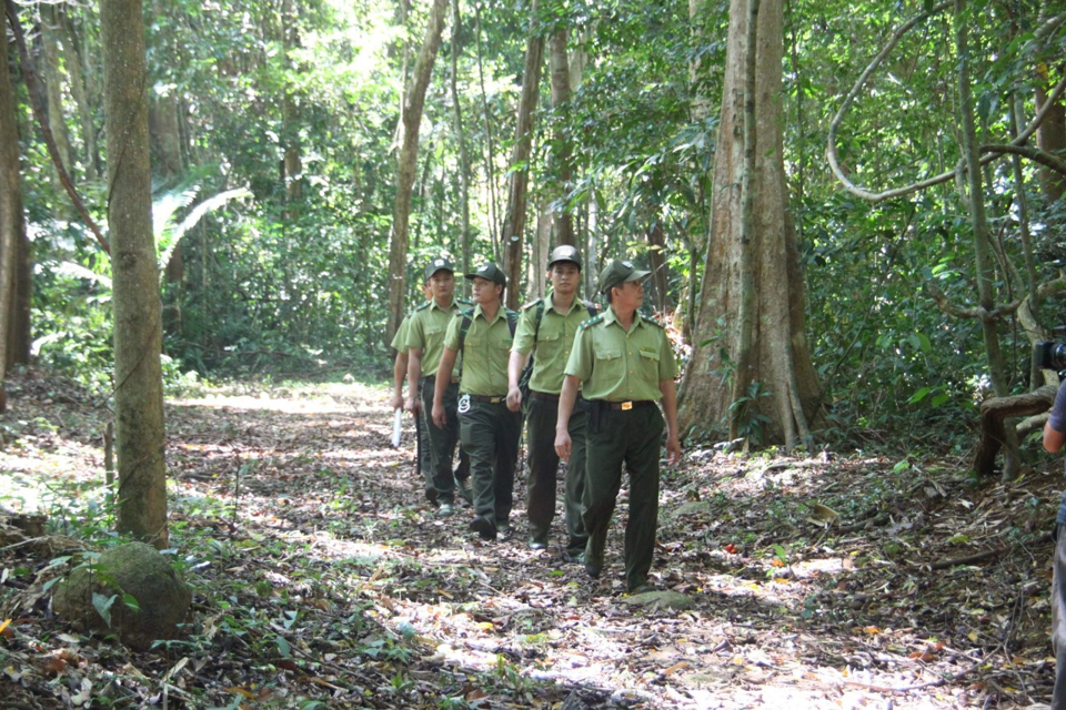 Lực lượng kiểm l&acirc;m tuần tra bảo vệ rừng