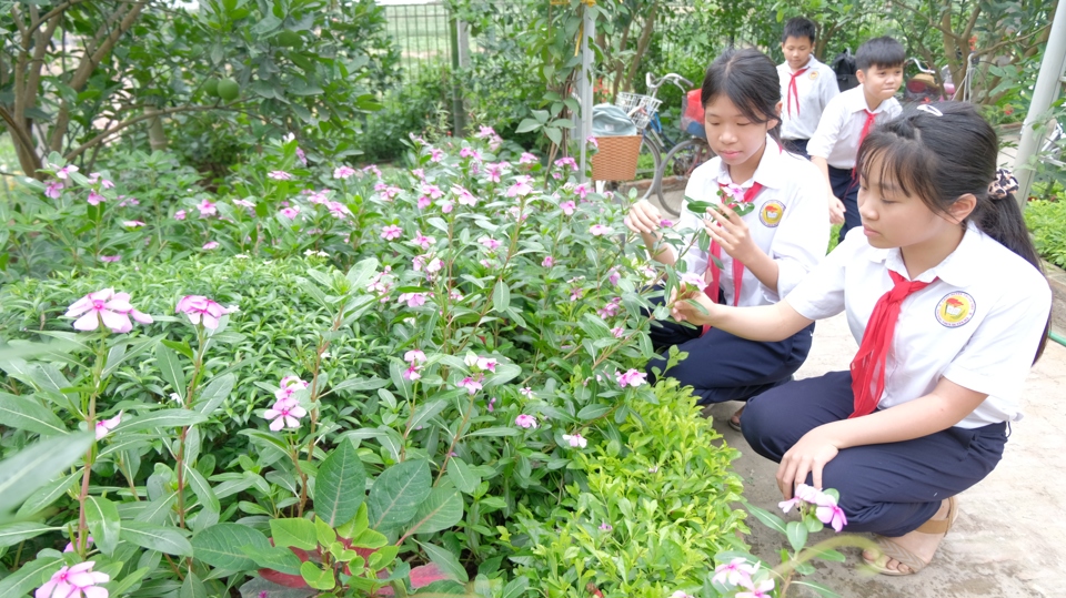 Địa phương đang kỳ vọng ph&aacute;t triển x&atilde; Duy&ecirc;n H&agrave; th&agrave;nh một điểm du lịch n&ocirc;ng th&ocirc;n. Trong đ&oacute;, Thư viện Mạnh An c&oacute; thể l&agrave; một điểm đến tham quan trong h&agrave;nh tr&igrave;nh du lịch cộng đồng.