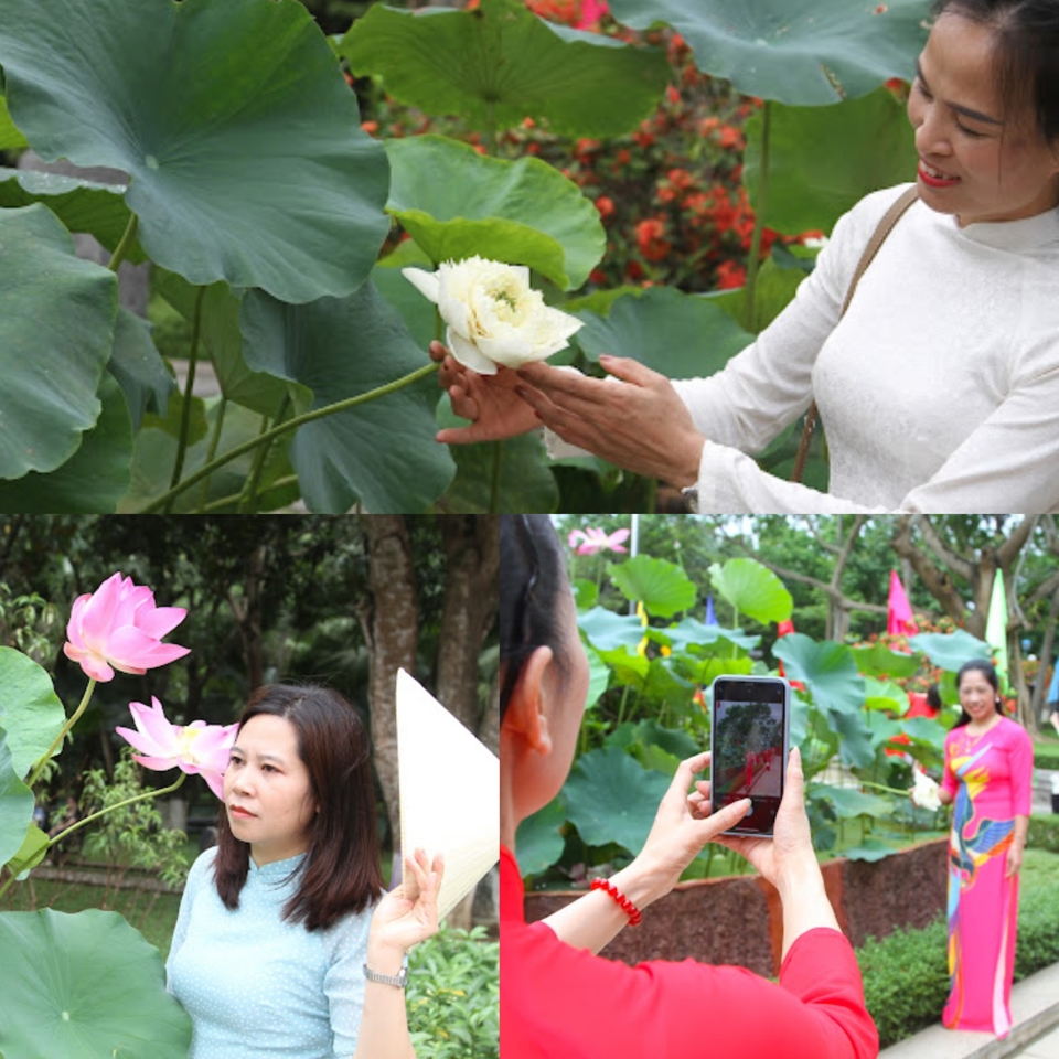 Du kh&aacute;ch đắm ch&igrave;m trong kh&ocirc;ng gian sen...