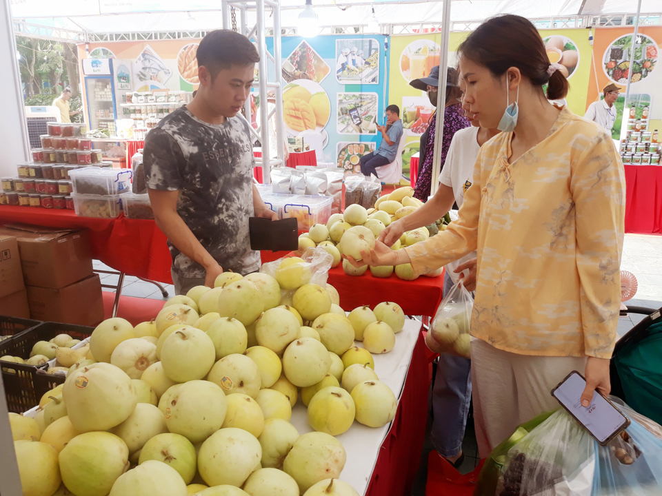 Người ti&ecirc;u d&ugrave;ng tiếp cận sản phẩm n&ocirc;ng sản tại &ldquo;Hội chợ n&ocirc;ng sản thực phẩm an to&agrave;n TP H&agrave; Nội năm 2023&rdquo;. Ảnh: Ho&agrave;i Nam