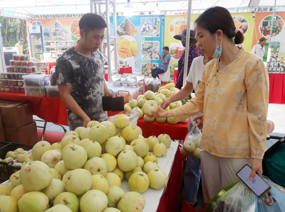 Người ti&ecirc;u d&ugrave;ng mua h&agrave;ng khuyến mại, giảm gi&aacute; tại sự kiện &ldquo;Ng&agrave;y hội khuyến mại h&agrave;ng ti&ecirc;u d&ugrave;ng v&agrave; n&ocirc;ng sản&rdquo;. Ảnh: Ho&agrave;i Nam