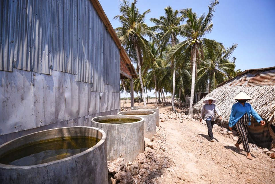 70 - 80% khả năng El Nino sẽ xảy ra g&acirc;y thiếu hụt từ 25 - 50% lượng mưa tr&ecirc;n phạm vi cả nước. Ảnh: T&ugrave;ng Đinh.